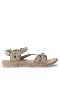 Jack Wolfskin Sandały Lakewood Ride Sandal W 4019041 Brązowy. Kolor: brązowy. Materiał: materiał