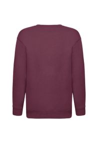 FRUIT OF THE LOOM - Bluza Dziecięca Premium. Kolor: czerwony, wielokolorowy, brązowy