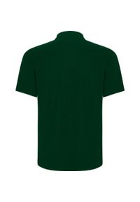 ROLY - Koszulka Polo Z Krótkim Rękawem Dla Dorosłych Unisex Centauro Premium. Typ kołnierza: polo. Kolor: zielony. Długość rękawa: krótki rękaw. Długość: krótkie