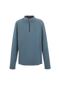 Regatta - Bluza Polarowa z suwakiem Męska Thompson. Kolor: wielokolorowy, niebieski, szary. Materiał: polar. Sezon: zima. Sport: turystyka piesza #1
