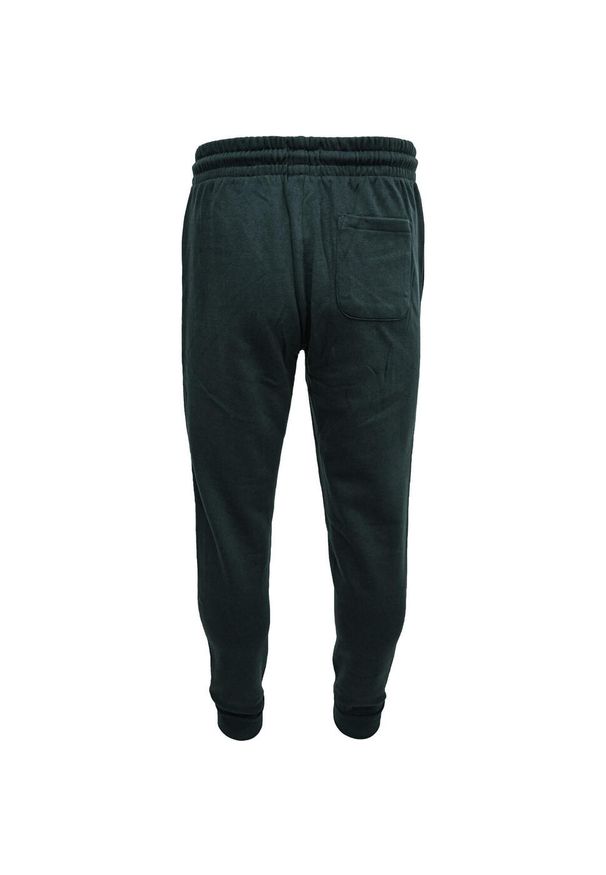 Spodnie DC Shoes Riot, Mężczyźni. Kolor: czarny. Materiał: materiał, bawełna