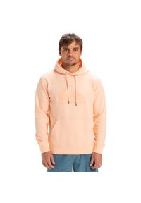 Quiksilver - Bluza z kapturem COMP LOGO Różowy Mężczyźni. Typ kołnierza: kaptur. Kolor: różowy. Materiał: bawełna, poliester, materiał #1