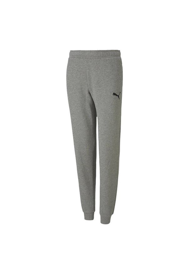 Puma - Spodnie Do Joggingu Dziecięce Casual TeamGoal 23. Kolor: szary. Sport: bieganie