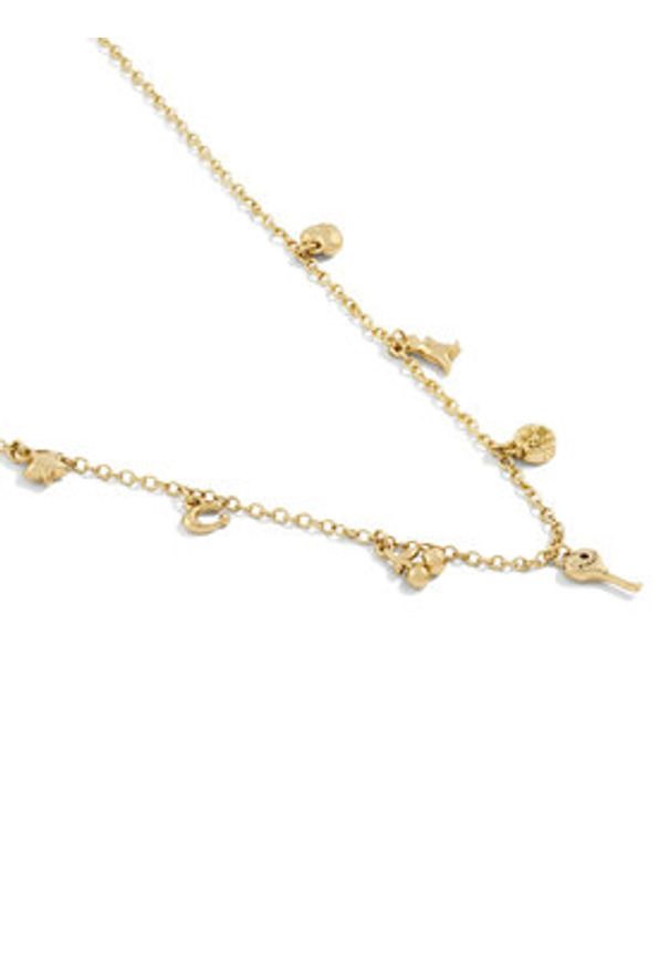 Coach Naszyjnik 37557549 Złoty. Materiał: metalowe. Kolor: złoty