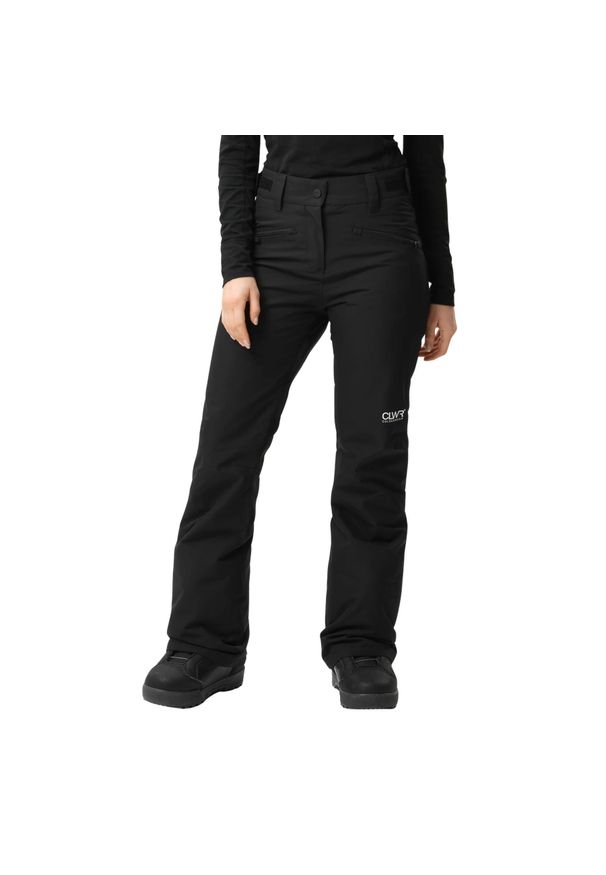 Spodnie narciarskie dla kobiet Colourwear W Cork. Kolor: czarny. Sezon: zima. Sport: narciarstwo