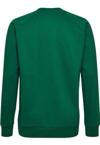 Bluza do piłki ręcznej dla dzieci Hummel Cotton Logo. Kolor: biały, wielokolorowy, zielony. Materiał: prążkowany. Sport: fitness