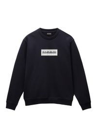 Bluza męska Napapijri B-Box Logo C. Kolor: czarny