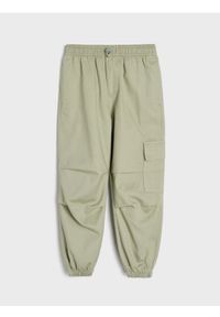 Sinsay - Jeansy jogger - zielony. Kolor: zielony #1