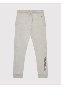 Calvin Klein Jeans Spodnie dresowe Institutional IB0IB00954 Szary Regular Fit. Kolor: szary. Materiał: bawełna #1