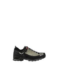 Salewa - Buty trekkingowe damskie Mtn Trainer 2 GTX Women. Kolor: wielokolorowy, czarny, szary. Szerokość cholewki: normalna