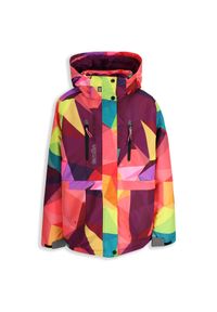 Kurtka narciarska dla dzieci snowboard Lemon Explore ZL5. Kolor: wielokolorowy. Materiał: poliester. Sezon: zima. Sport: narciarstwo, snowboard #1