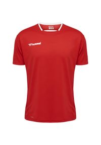 Koszulka poliestrowa Hummel Authentic Kids Poly Jersey S/S czerwona. Kolor: czerwony, różowy, wielokolorowy. Materiał: jersey, poliester