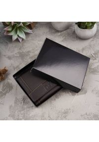 Portfel skórzany PAOLO PERUZZI T-54-BR brązowy. Kolor: brązowy. Materiał: skóra #1