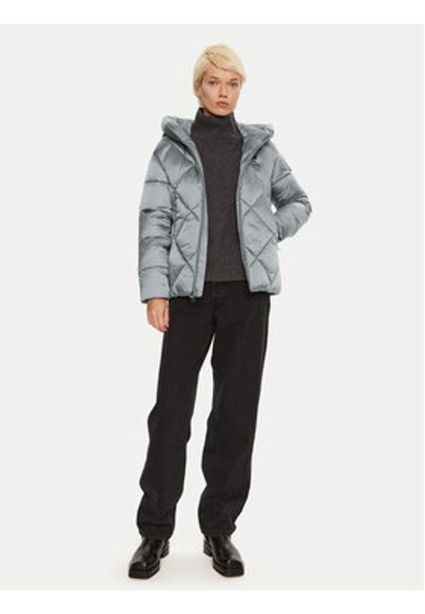 Blauer Kurtka zimowa 24WBLDC02273 Szary Regular Fit. Kolor: szary. Materiał: syntetyk. Sezon: zima