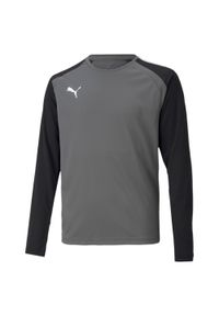 T-Shirt Puma Teampacer Gk Ls Jersey Jr Dzieci. Kolor: czarny, biały, szary, wielokolorowy. Materiał: poliester. Sport: piłka nożna
