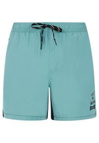 Protest - Szorty plażowe męskie PROTEST PRTBen. Kolor: wielokolorowy #1