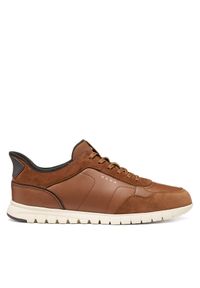 Sneakersy Geox. Kolor: brązowy #1