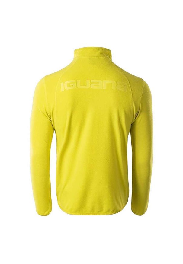 Iguana - Męski Polar Termiczny Vilos. Kolor: zielony. Materiał: polar. Sezon: zima. Sport: turystyka piesza
