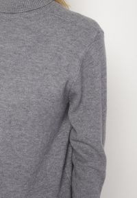 Born2be - Szary Casualowy Golf z Wełną o Prostym Kroju Reiselia. Okazja: na co dzień. Typ kołnierza: golf. Kolor: szary. Materiał: wełna. Styl: casual #6