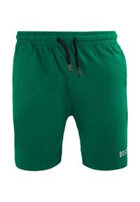 ZFOAM - Szorty sportowe Niceto Green L – 100% bawełna, oddychające. Kolor: zielony. Materiał: bawełna. Długość: krótkie. Sezon: lato #1