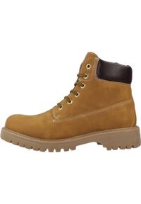 Buty ASSO AG17730 Żółty. Kolor: żółty. Materiał: syntetyk, tkanina. Styl: sportowy. Sport: turystyka piesza