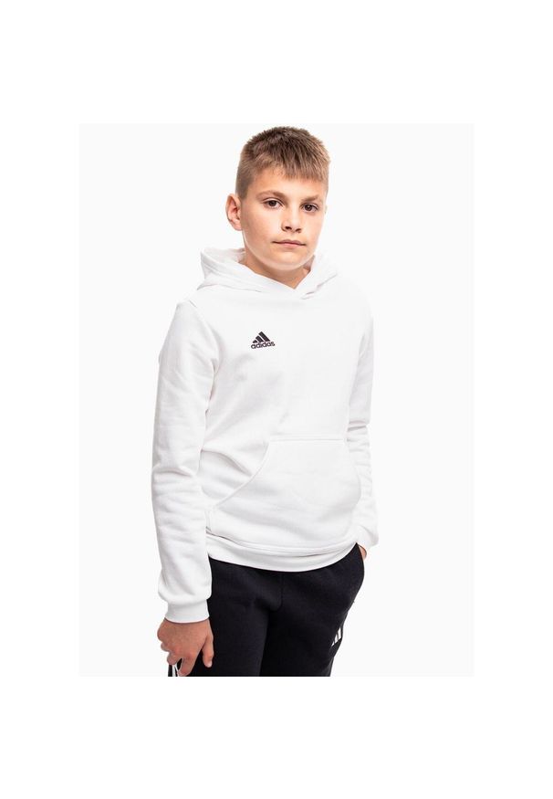 Adidas - Bluza piłkarska dla dzieci adidas Entrada 22 Hoody. Kolor: biały, wielokolorowy, czarny. Sport: piłka nożna