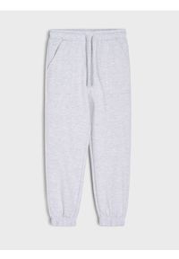 Sinsay - Spodnie dresowe jogger ze ściągaczami na nogawkach - szary. Kolor: szary. Materiał: dresówka #1