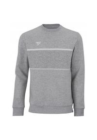 TECNIFIBRE - Bluza dziecięca Tecnifibre Team Sweater. Kolor: szary #1