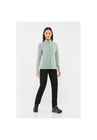 Viking - Bluza damska VIKING Tesero Lady Polartec. Kolor: zielony. Styl: sportowy. Sport: turystyka piesza #1