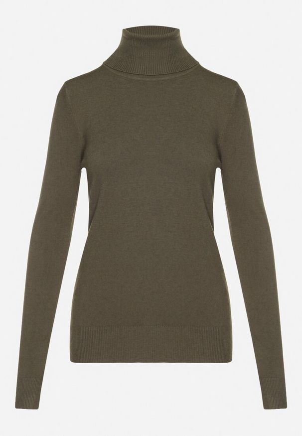 Born2be - Ciemnozielony Golf Sweter z Wiskozą i Kaszmirem Zailaya. Okazja: na co dzień. Typ kołnierza: golf. Kolor: zielony. Materiał: wiskoza, kaszmir. Styl: casual