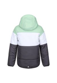 Regatta - Kurtka Dziecięca Lofthouse VII Terrain Print Padded Jacket. Kolor: biały, zielony, wielokolorowy. Materiał: puch. Wzór: nadruk. Styl: sportowy #2
