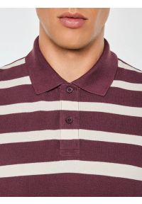 Big-Star - koszulka męska polo w białe paski bordowa talus 604. Okazja: na co dzień. Typ kołnierza: polo. Kolor: czerwony. Materiał: bawełna, sztruks, jeans, dzianina. Wzór: paski. Sezon: zima, jesień. Styl: casual, sportowy, klasyczny #3