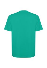 ROLY - Koszulka Z Krótkim Rękawem Dla Dorosłych Unisex Bull Oversized. Kolor: niebieski, zielony, wielokolorowy. Długość rękawa: krótki rękaw. Długość: krótkie. Sport: turystyka piesza