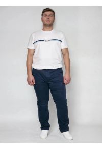 Big-Star - Spodnie męskie chinosy granatowe Trevor 403. Kolor: niebieski. Materiał: tkanina. Wzór: haft. Styl: klasyczny, elegancki #7