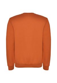 ROLY - Bluza Dziecięca Clasica Z Okrągłym Dekoltem. Kolor: żółty, wielokolorowy, pomarańczowy