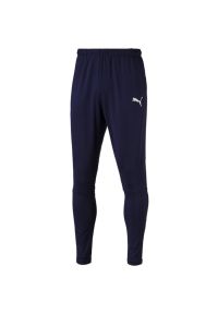 Spodnie Puma Liga Pants Pro, Mężczyźni. Kolor: niebieski. Materiał: poliester, materiał. Sport: piłka nożna
