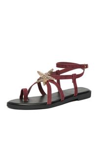 DeeZee Sandały CEO-YLD-F9678 Bordowy. Kolor: czerwony. Materiał: materiał #9