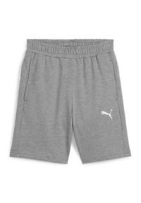 Szorty dla dzieci Puma TeamGoal. Kolor: szary. Styl: sportowy #1