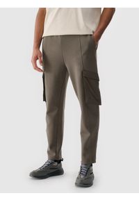 4f - 4F Spodnie casual cargo męskie - brązowe XXL. Okazja: na co dzień. Kolor: brązowy. Materiał: poliester, bawełna, materiał, tkanina. Styl: casual #1