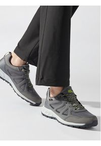 Jack Wolfskin Trekkingi Woodland 2 Texapore Low M 4051271 Szary. Kolor: szary. Materiał: materiał. Sport: turystyka piesza