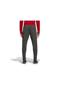 Spodnie sportowe Adidas FC Bayern Tr Pnt. Kolor: czerwony, szary, wielokolorowy. Materiał: dresówka. Sport: piłka nożna