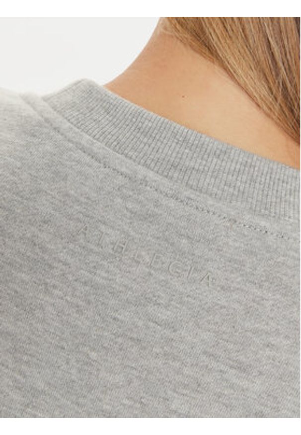Athlecia Bluza Giannis W Crew Neck EA243363 Szary Regular Fit. Kolor: szary. Materiał: bawełna