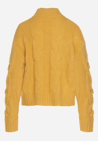 Born2be - Żółty Golf z Domieszką Wełny Zdobiony Oryginalnym Splotem Fedwira. Okazja: do pracy, na co dzień, na spotkanie biznesowe. Typ kołnierza: golf. Kolor: żółty. Materiał: wełna. Wzór: aplikacja, ze splotem. Sezon: zima, jesień. Styl: casual, klasyczny, biznesowy #6