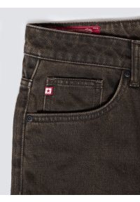 Big-Star - Jeansy męskie z kolekcji Authentic brązowe Ates 888. Kolor: brązowy. Styl: klasyczny