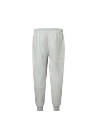 Oakley Spodnie Relax Jogger 2.0 Foa404843-28B. Kolor: szary