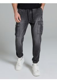 Sinsay - Jeansy jogger z efektem sprania - szary. Kolor: szary