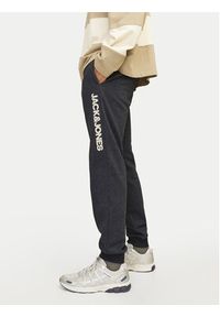 Jack & Jones - Jack&Jones Spodnie dresowe Gordon 12258477 Czarny Regular Fit. Kolor: czarny. Materiał: bawełna, syntetyk