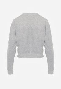 Renee - Jasnoszara Bluza z Bawełną ze Ściągaczami przy Rękawach i w Pasie Alberia. Kolor: szary. Materiał: bawełna #8