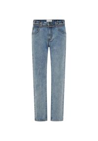 ONETEASPOON - Spodnie jeansowe Truckers Mid Rise. Kolor: niebieski. Wzór: aplikacja, haft #2