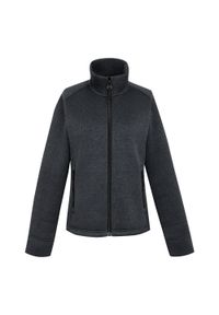 Regatta - Damska Bluza Polarowa Emilide Z Pełnym Zamkiem Błyskawicznym. Kolor: szary. Materiał: polar. Sezon: zima #1